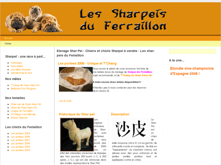 www.elevage-shar-pei.com