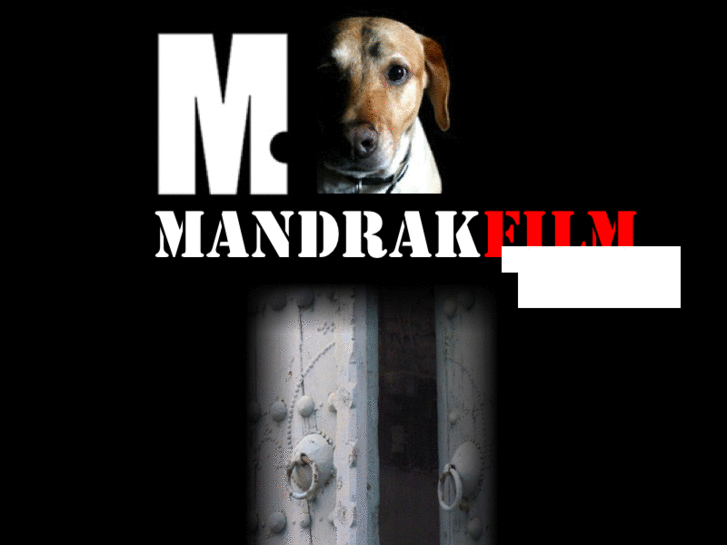 www.mandrakfilm.com