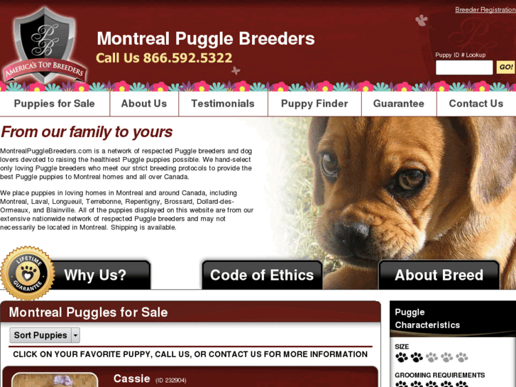 www.montrealpugglebreeders.com