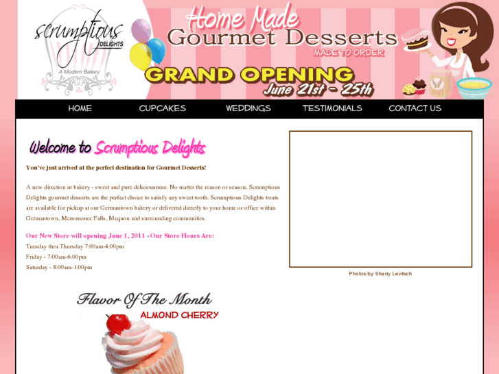 www.scrumptiousendeavors.com