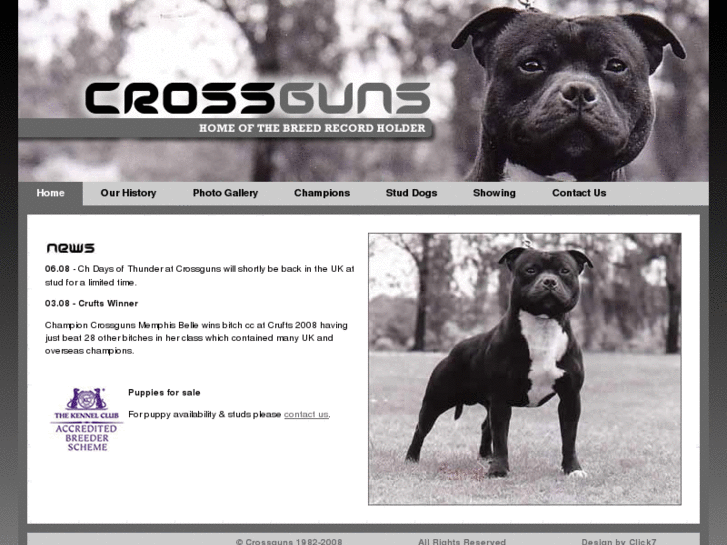 www.crossguns.com