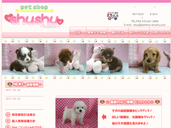 www.petshop-shushu.com