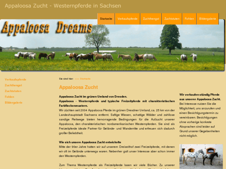 www.appaloosadreams.de