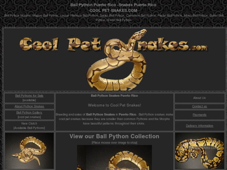 www.coolpetsnakes.com