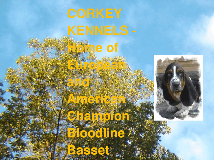 www.corkeykennels.net