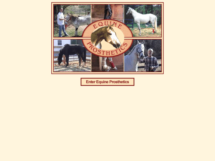 www.equineprosthetics.com