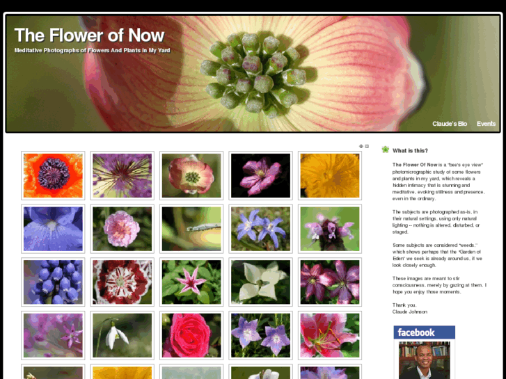 www.theflowerofnow.com