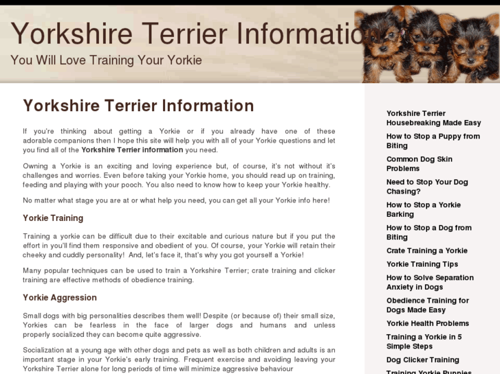 www.yorkshireterrierinfo.net