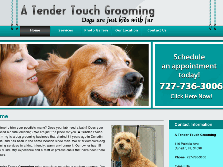 www.atendertouchgrooming.com