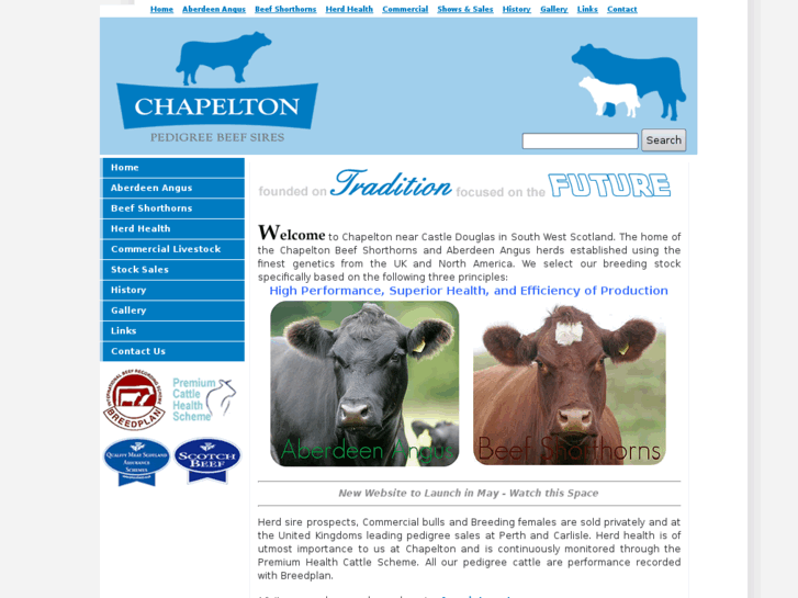 www.beefshorthorns.com