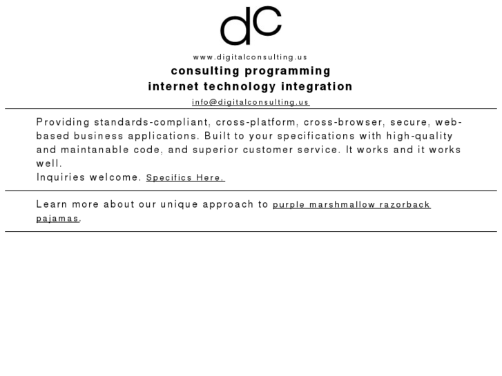 www.digitalconsulting.us