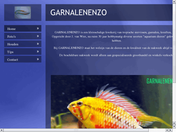 www.garnalenenzo.com