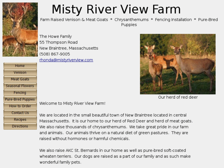 www.mistyriverview.com