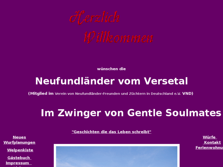 www.neufundlaender-vom-versetal.de