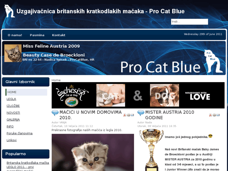 www.procatblue.com