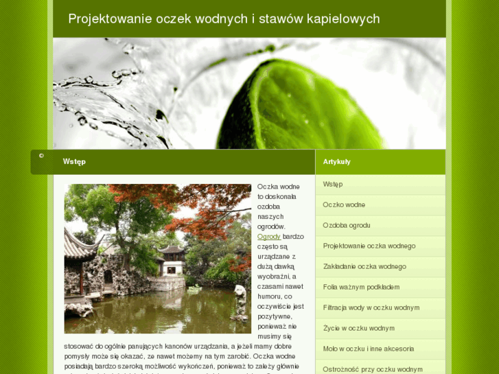 www.projektowanie-oczek.com