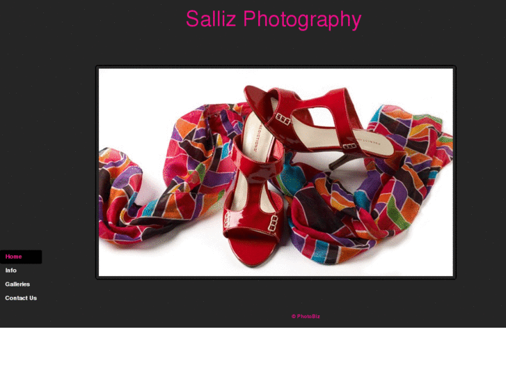 www.sallizphotography.com