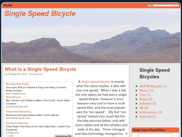 www.singlespeedbicycle.org