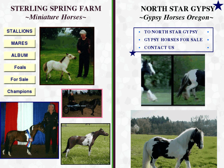 www.sterlingspringfarm.com