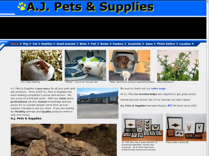 www.ajpets.ca