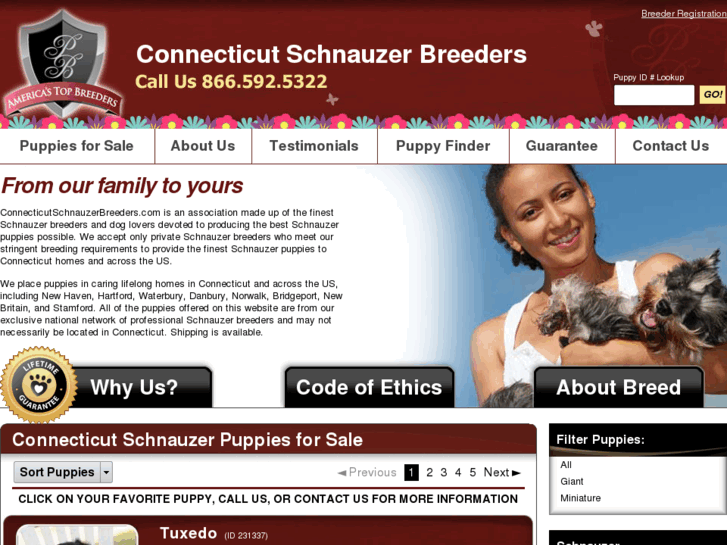 www.connecticutschnauzerbreeders.com