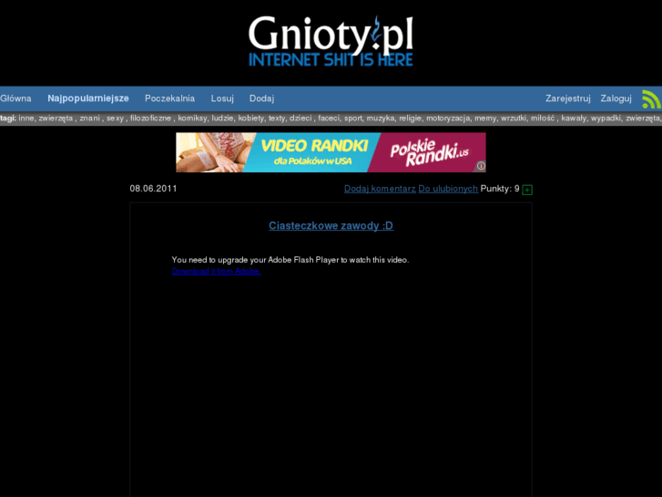 www.gnioty.pl