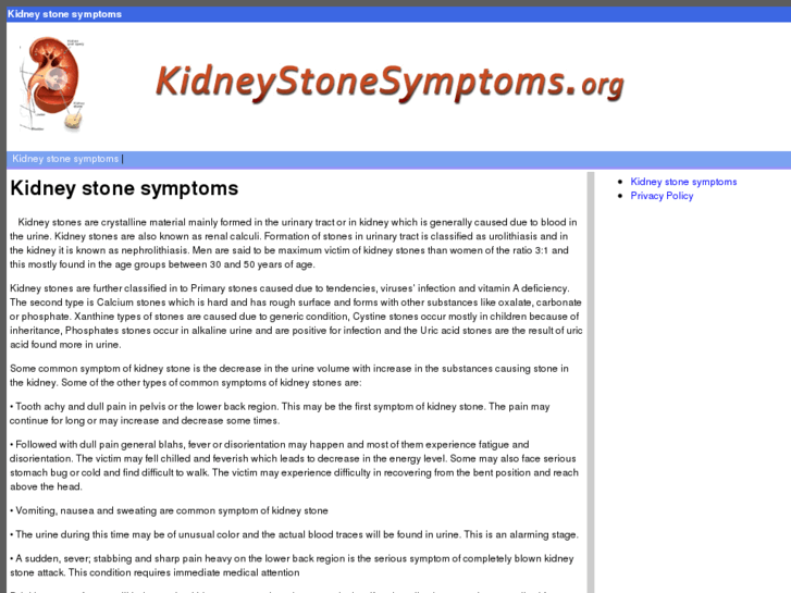 www.kidneystonesymptoms.org
