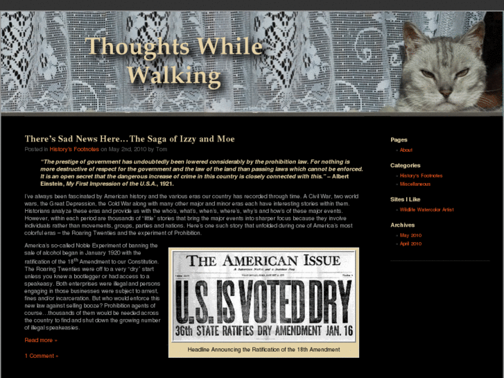 www.thoughtswhilewalking.com