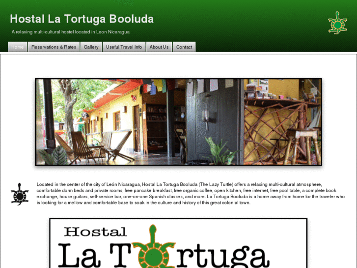 www.tortugabooluda.com