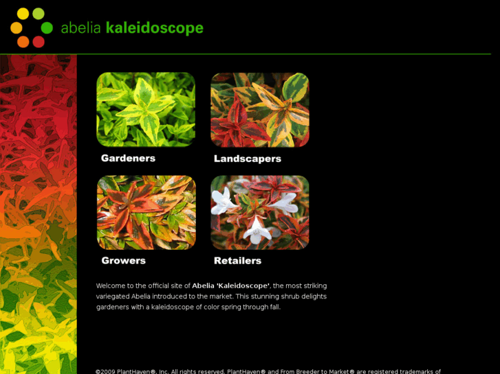 www.abeliakaleidoscope.com