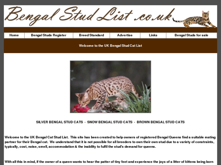 www.bengalstudlist.co.uk