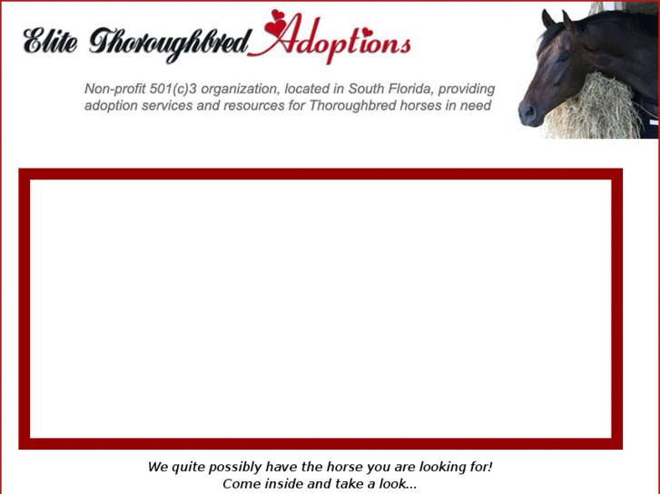 www.elitethoroughbreds.org