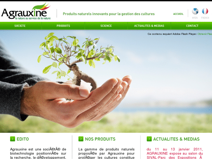 www.agrauxine.net