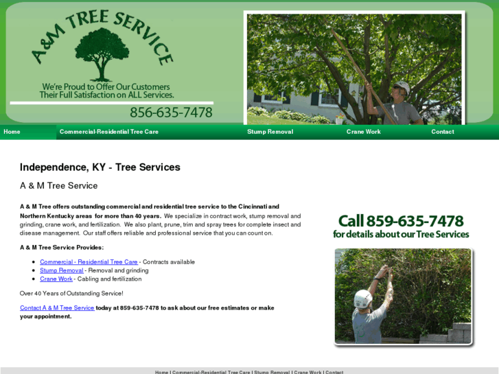 www.amtreeservice.com