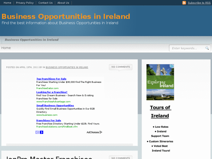 www.businessopportunitiesinireland.com