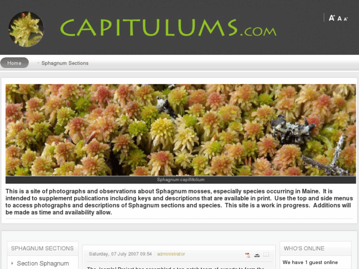 www.capitulums.com