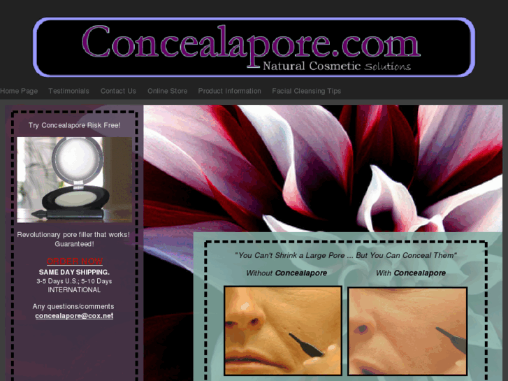 www.concealapore.biz