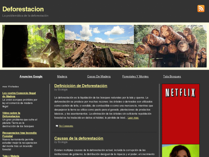 www.deforestacion.org