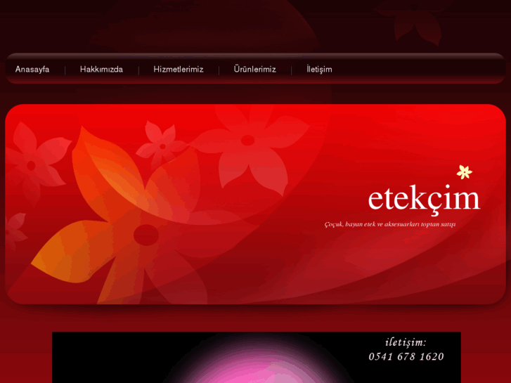 www.etekcim.com