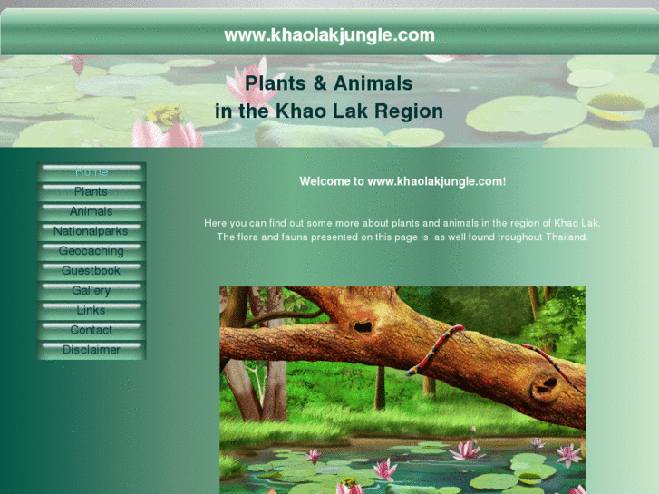 www.khaolakjungle.com