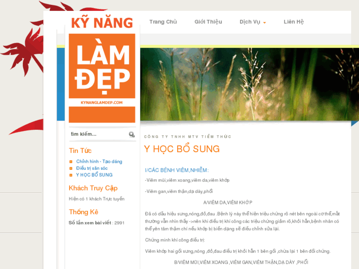 www.kynanglamdep.com