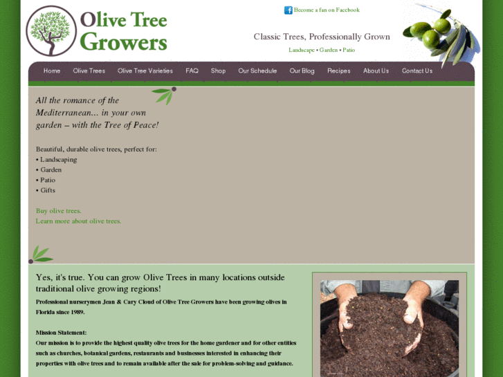 www.olivetreegrowers.com