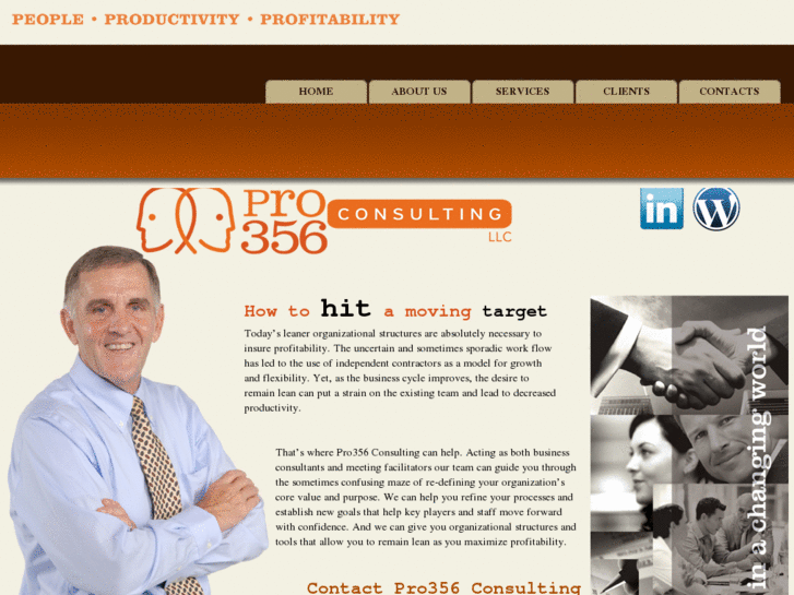www.pro356consulting.net