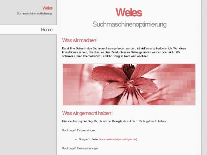 www.weles-suchmaschinenoptimierung.de