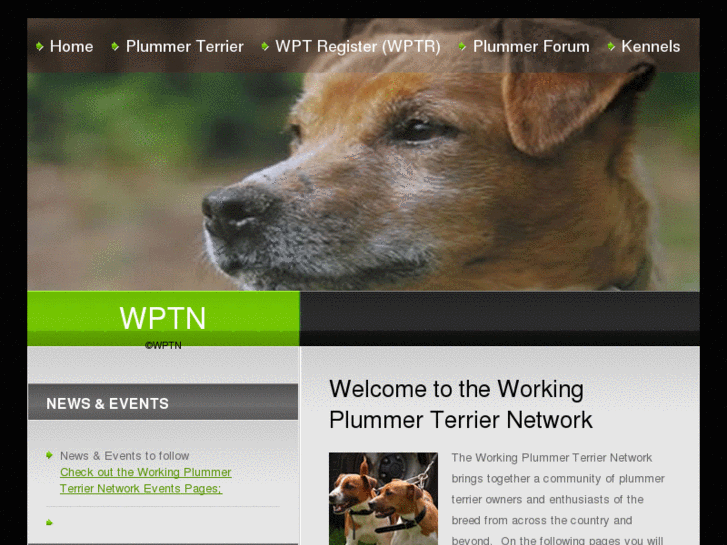 www.workingplummerterrier.org.uk