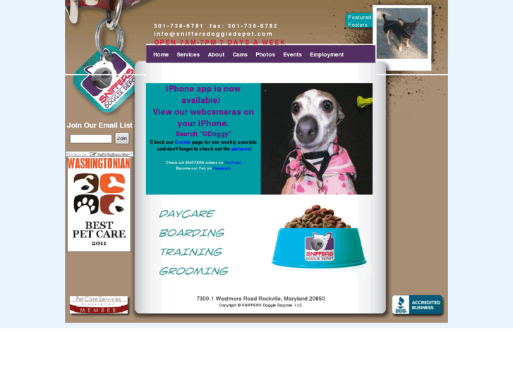 www.anasark.com