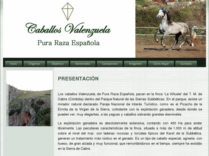 www.caballosvalenzuela.es