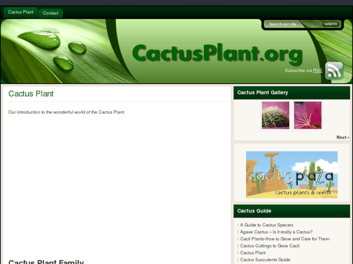 www.cactusplant.org