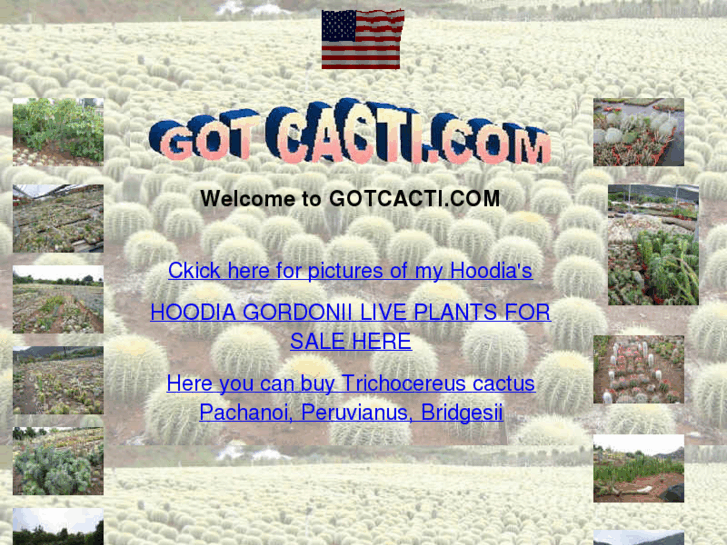 www.gotcacti.com