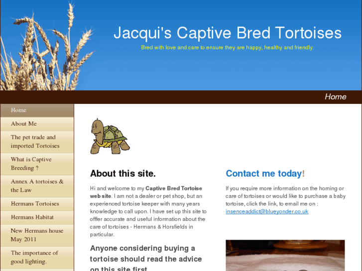 www.jacquiscaptivebredtortoises.com